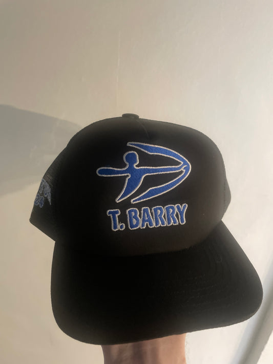 Thierno barry (Everton design)